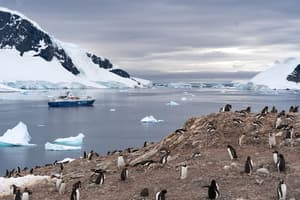 AQAPE - Antarctic Peninsula, Antarctica II James Eades.jpg Photo